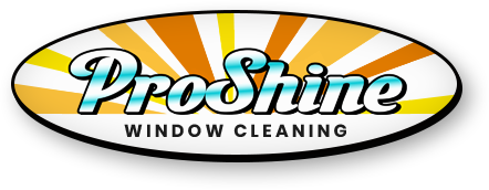 pro shine window cleaning