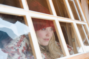 boise window cleaning